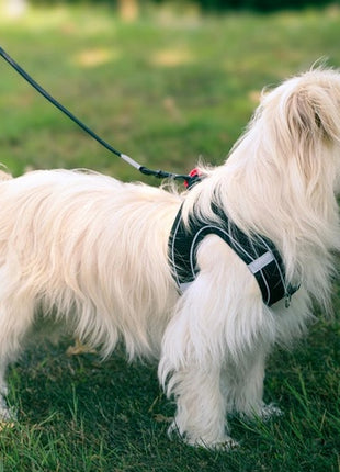 Zolux Szelki oddychające z siatki L czarne