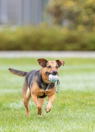 Trixie Piłka gumowa na sznurku 6/30cm [3454]