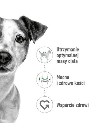 Royal Canin Mini Adult karma sucha dla psów dorosłych, ras małych 8kg