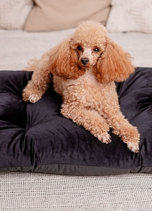 MIMIKO Pets Legowisko Poducha Velvet 70x50cm czarna