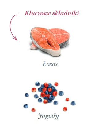Amanova Dog Salmon Bites - łosoś 100g