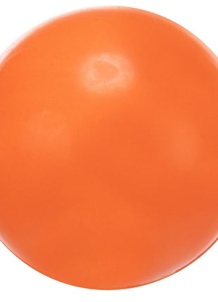 Trixie Piłka gumowa 7cm twarda [3302]