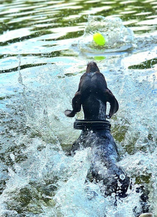 Dingo Zabawka dla psa - Piłka świecąca Play & Glow 14x8cm