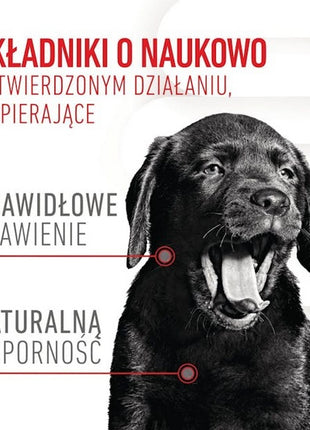 Royal Canin Immunity & Digestion Chews Puppy Supplements 100g