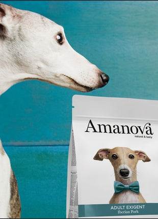 Amanova Dog Adult Exigent Iberian Pork - wieprzowina 10kg