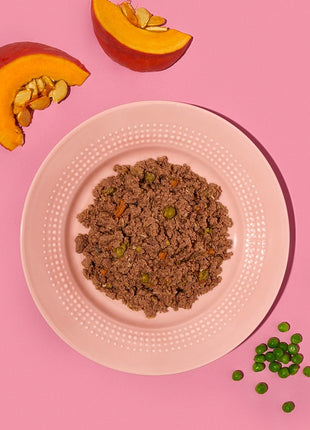 Amanova Dog Adult Tasty Salmon & Turkey - łosoś i indyk saszetka 100g [P06]