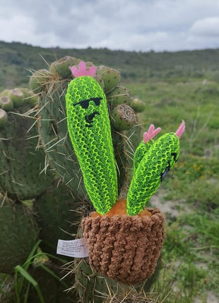 Dingo Zabawka dla psa - Kaktus Familia 20cm