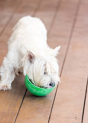 LickiMat Wobble Miska głęboka Jeżyk miękka turkusowa