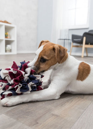 Trixie Schnüffelball für Hunde