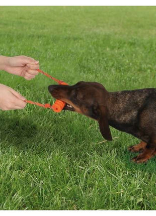 Trixie Ekard Lind Long-Mot mini - 10 cm