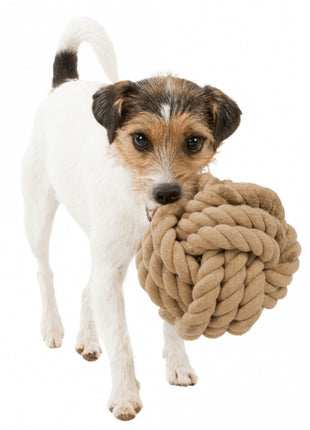 Trixie BE NORDIC Tau-Ball für Hunde