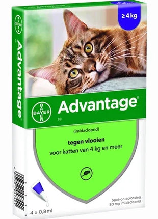 Bayer Advantage Kat