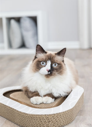 Trixie Krabplank Karton Met 2 Ballen