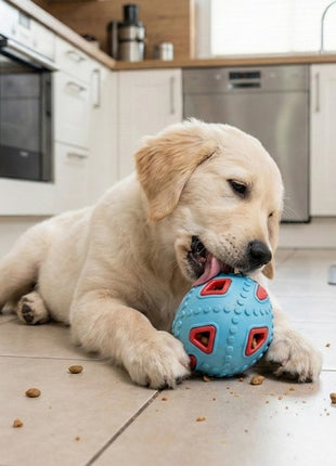 Zolux Zabawka na przysmaki do aportowania jajko 8cm