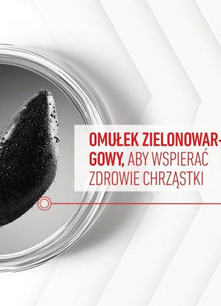 Royal Canin Joint & Ageing Chews Adult Supplements 240g