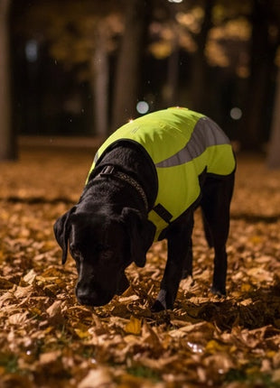 Zolux Kamizelka odblaskowa R.50 żółta