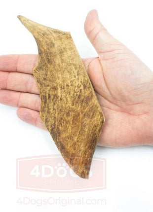 4DOGS Gryzak z poroża daniela L