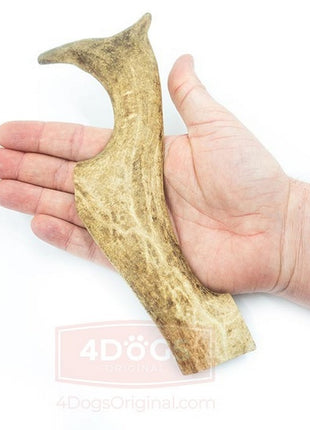 4DOGS Gryzak z poroża daniela XL