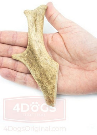 4DOGS Gryzak z poroża daniela M