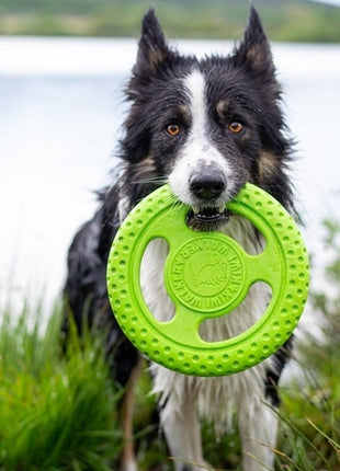 Kiwi Walker Let's Play Frisbee Mini różowe
