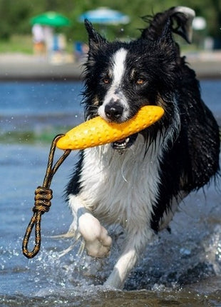 Kiwi Walker Let's Play Zeppelin Mini aport pomarańczowy