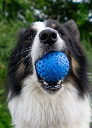 Kiwi Walker Let's Play Ball Maxi piłka pomarańczowa