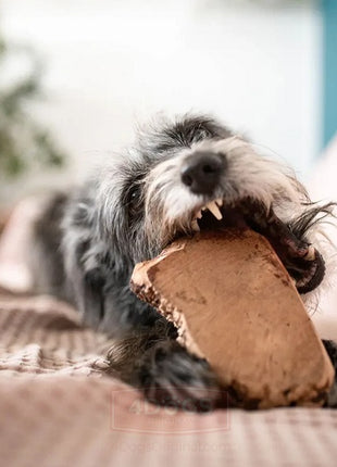 4DOGS Gryzak z korzenia drzewa wrzosowego XL