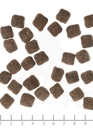 Wolfsblut Dog Dark Forest Small - dziczyzna i bataty 2kg