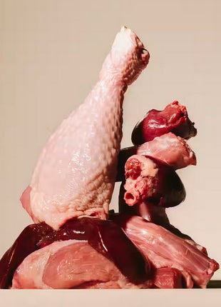 Carnilove Dog Turkey & Pheasant - indyk i bażant saszetka 300g