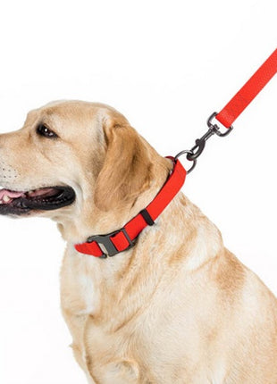 Collar Waterproof Smycz wodoodporna M 20mm/183cm czerwona