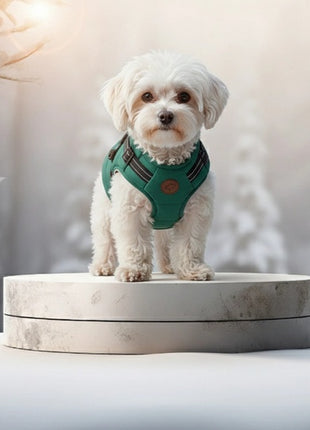 Zolux Kurtka puchowa z szelkami dla psa R.40 niebieska