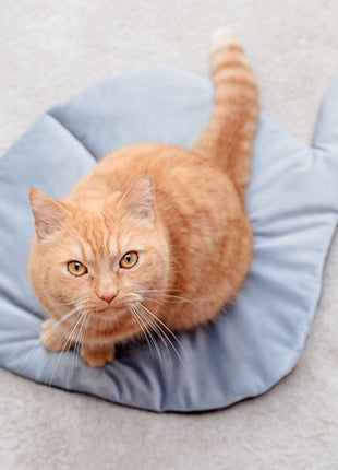 MIMIKO Pets Mata Velvet Form Ryba