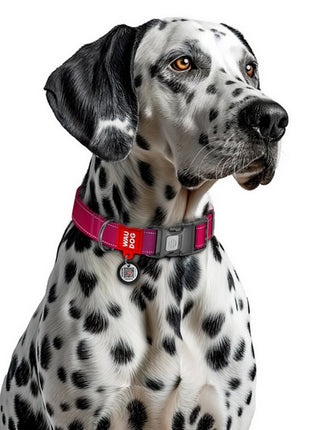 Collar WauDog Nylon Mono Obroża nylonowa odblaskowa z QR-paszportem, plastikowy fastex, S 15mm/25-35cm różowa