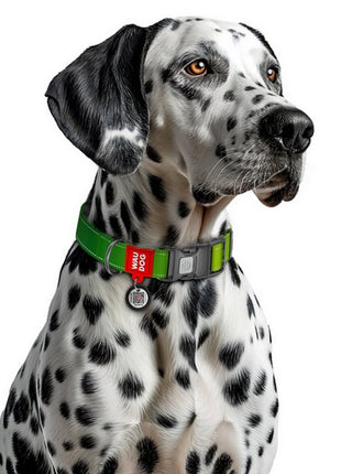 Collar WauDog Nylon Mono Obroża nylonowa odblaskowa z QR-paszportem, plastikowy fastex, M 20mm/28-40cm jasnozielona