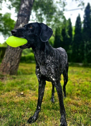 Dingo Zabawka dla psa - Piłka świecąca Play & Glow 14x8cm