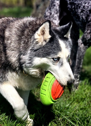 Dingo Zabawka dla psa - Guma TPR - Rugby Dent 17cm