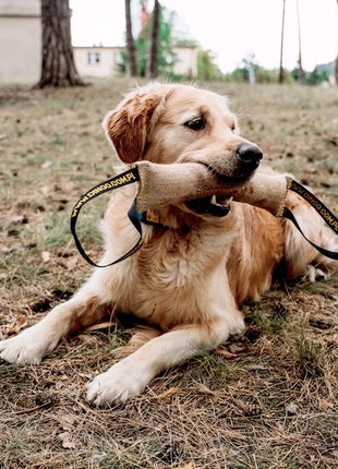 Dingo Zabawka dla psa - Szarpak z juty z dwoma uchwytami 40/6cm