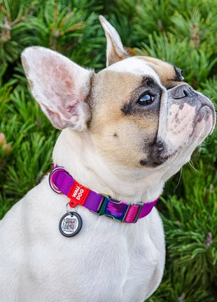 Collar WauDog Recycled Obroża nylonowa z QR-paszportem, gradient XL 25mm x 37-58cm fioletowy