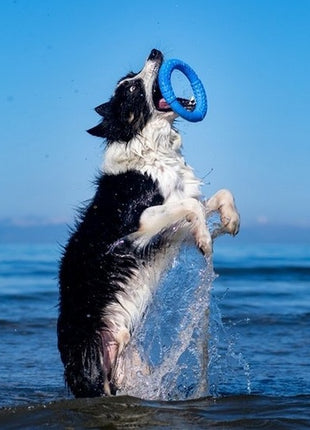 Kiwi Walker Let's Play Ring Maxi pomarańczowy