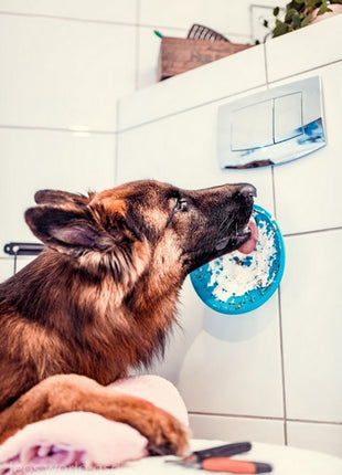 LickiMat Splash miska z przyssawką turkusowa