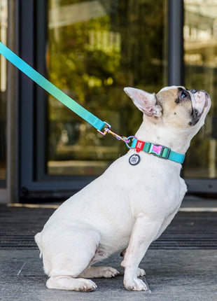 Collar WauDog Recycled Smycz nylonowa, gradient M 20mm/122cm niebieski