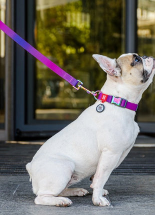 Collar WauDog Recycled Smycz nylonowa, gradient M 20mm/122cm fioletowy