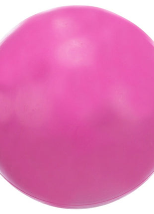 Trixie Piłka gumowa 6cm twarda [3301]