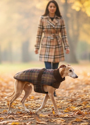 Zolux Kurtka w kratę dla psa Cheverny R.60 brązowa