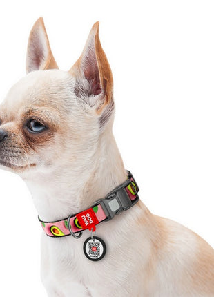 Collar WauDog Nylon Obroża nylonowa z QR-paszportem, plastikowy fastex, wzór AWOKADO NA RÓŻU, M 20mm/28-40cm