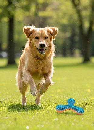 Zolux Zabawka gryzak bumerang Tao 13,6cm