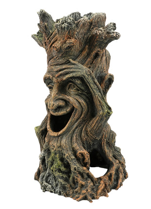 Aqua Della Baum mit Gesicht 2