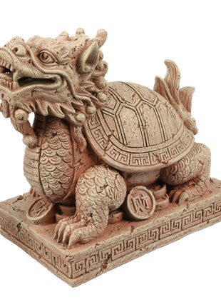 Aqua Della Zodiac Schildkröte - S
