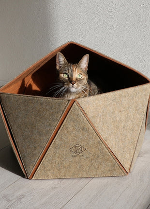 D&D Katzenhaus Logan