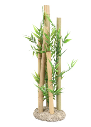 Aqua Della Bambusornament